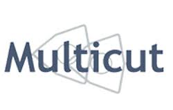 Multi - Cut